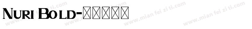 Nuri Bold字体转换